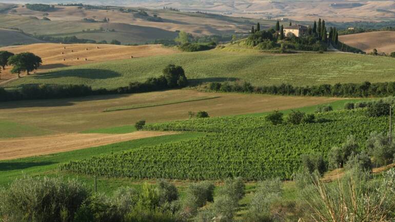 Valore Val d’Orcia. Vino di qualità nel paesaggio più bello del mondo